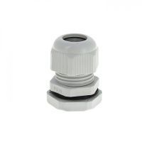 Изображение загружено из каталога картинок. //***VAD***//