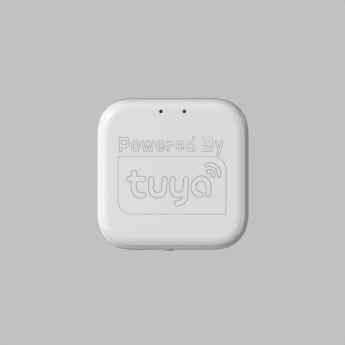 WIFI конвертер Denkirs Smart Control DK7400-WF