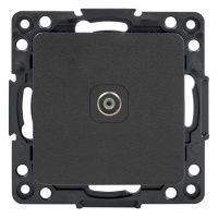 Изображение загружено из каталога картинок. //***VAD***//