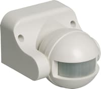 Изображение загружено из каталога картинок. //***VAD***//