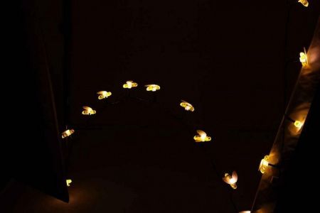 Изображение загружено из каталога картинок. //***VAD***//