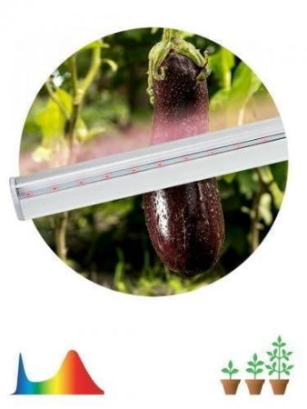 Изображение загружено из каталога картинок. //***VAD***//