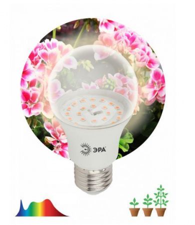 Изображение загружено из каталога картинок. //***VAD***//