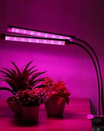 Изображение загружено из каталога картинок. //***VAD***//